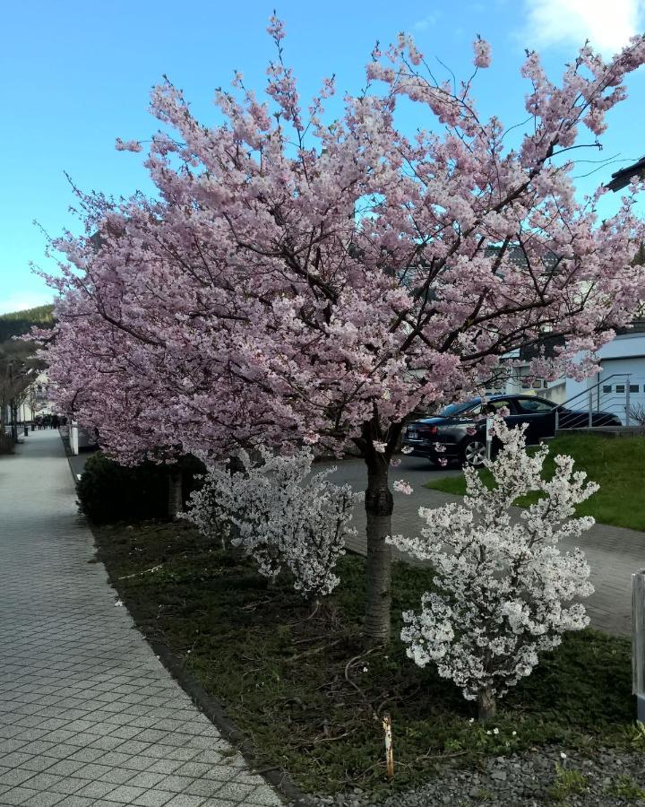 באד לאאספה Fewo Altstadt Bl מראה חיצוני תמונה